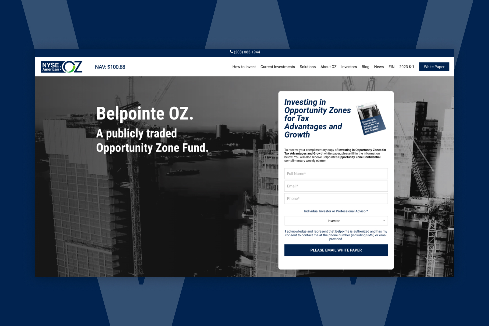 Real Estate / Investment Website