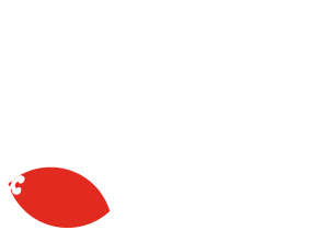 zoli-design.com