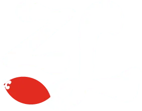 zoli-design.com